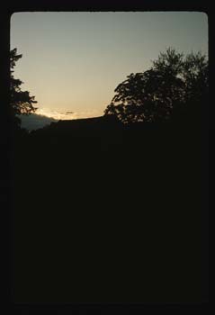 picture021