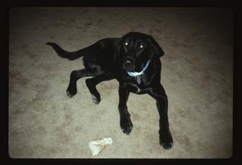 picture001