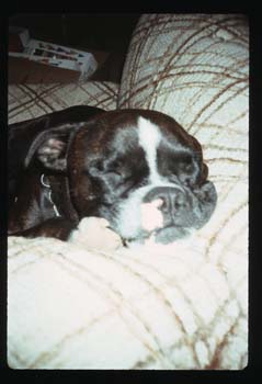 picture002