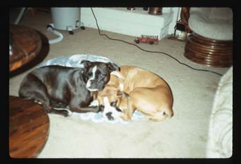 picture010