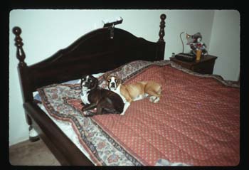 picture012