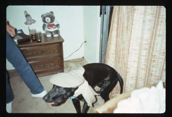 picture014
