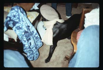 picture020