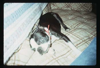 picture022