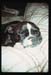 picture002