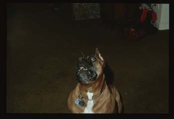 picture008