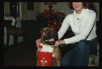 picture009
