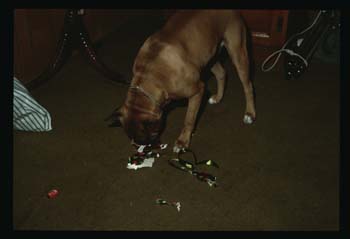 picture010