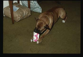 picture011