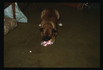 picture012