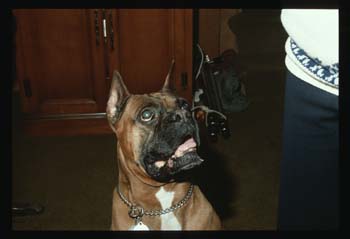 picture013