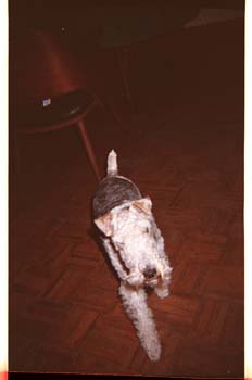 picture010