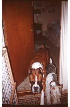 picture014