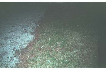 picture021