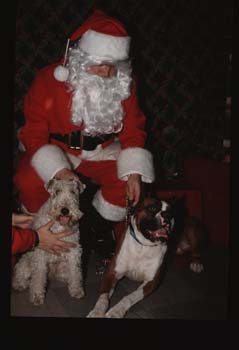 picture011
