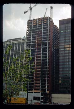 picture019