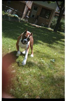 picture003