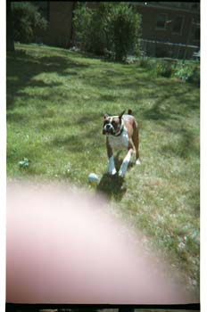 picture004