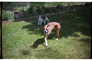 picture005