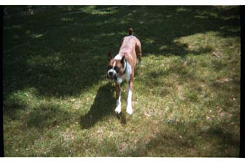 picture007