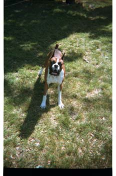 picture009