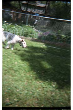 picture010