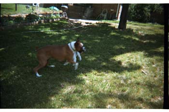 picture011