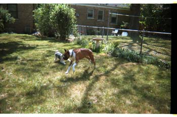picture012