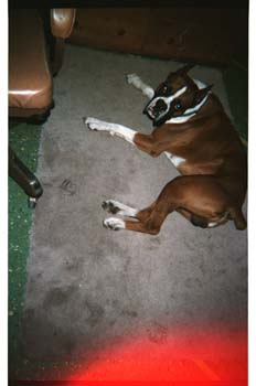 picture017