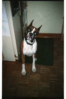 picture024
