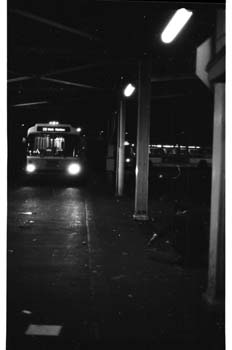 picture031