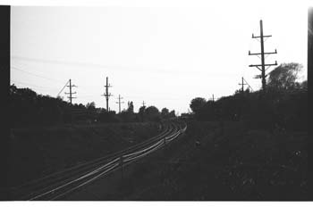 picture011