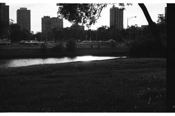 picture019