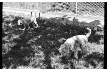 picture003