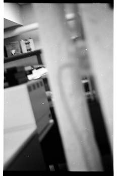 picture015