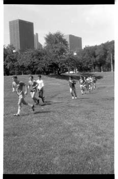 picture015