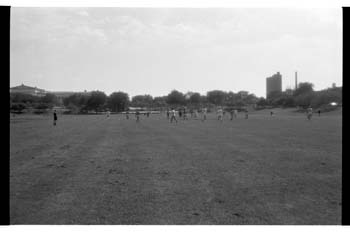 picture012