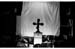 picture028