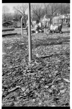 picture016