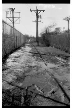 picture018