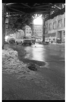 picture028