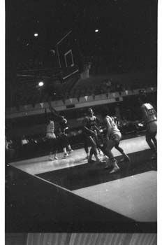 picture019