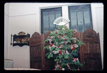 picture8