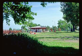 picture8